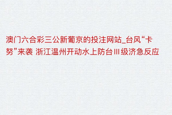 澳门六合彩三公新葡京的投注网站_台风“卡努”来袭 浙江温州开动水上防台Ⅲ级济急反应